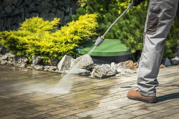 Best Sidewalk and Walkway Cleaning  in Mazon, IL